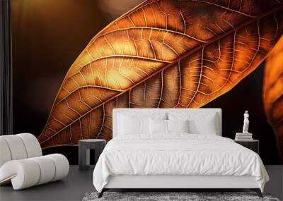 intricate leaf designs illuminated sunlight showcasing glowing patterns textures Wall mural