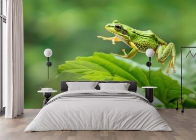 A green frog leaps from one lily pad to another. Wall mural