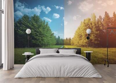 A split image of a path leading into a forest, with a blue sky on one side and a golden sunset on the other. Wall mural