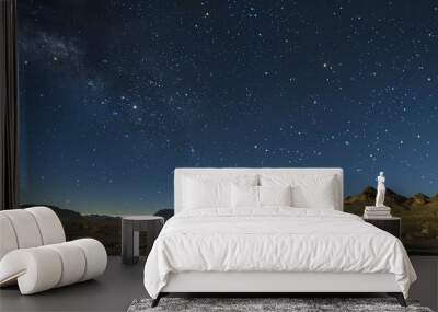 A starry night sky over a desert landscape. Wall mural