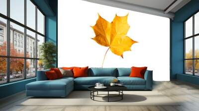 Autumn maple leave isolated on white background Wall mural