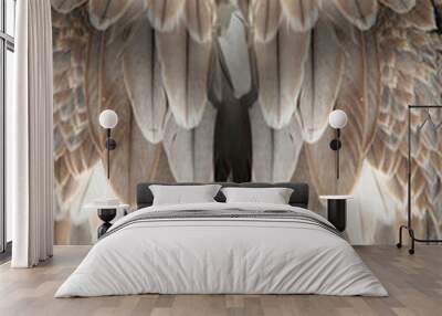 feather background Wall mural