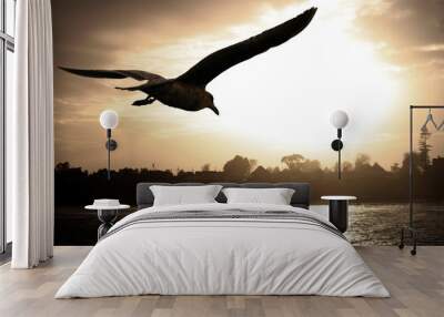 sea gull flying over the ocean at sunset Wall mural