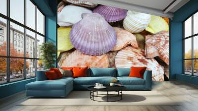 Mixed colorful sea shells as background selective focus Wall mural