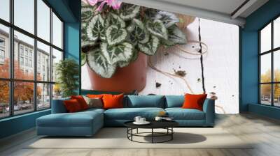 Caring for houseplants Wall mural