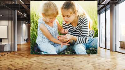 Little girls are looking at insects in the green grass on the field. Wall mural