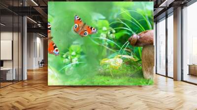 Unfocused natural background with butterflies, mushroom and snail. Soft selective focus Wall mural