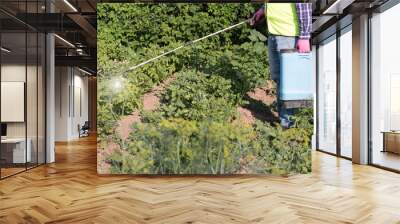 Happy farmer man in hat, glasses and protective clothing sprinkles potatoes with professional sprayer. Struggle with the Colorado beetle. Blue tank with electric sprayer. Strong poison for insects. Wall mural