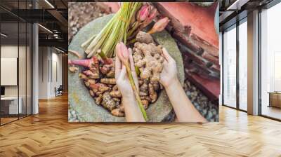 Ginger and pink ginger in female hands on a background of spices Wall mural