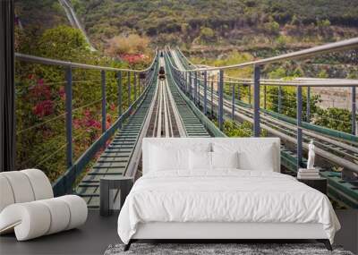 Rail downhill on a trolley, Point of view during a ride on Alpine Coaster on rails Wall mural