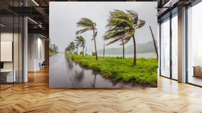 Tropical storm, heavy rain and high winds in tropical climates Wall mural