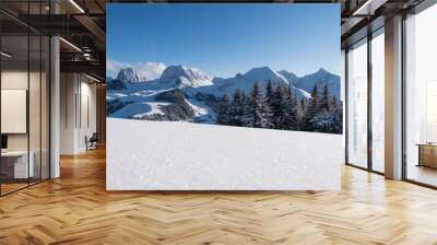 Gantrisch area - swiss snow landscape Wall mural