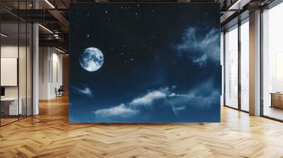 big moon Wall mural