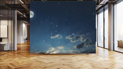 full moon in the sky Wall mural