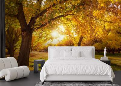 Autumn garden Wall mural