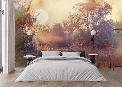 Autumn meadow Wall mural