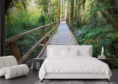 Boardwalk in the forest Wall mural