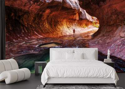 Canyon in Zion Wall mural