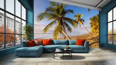 Coast in Costa Rica Wall mural