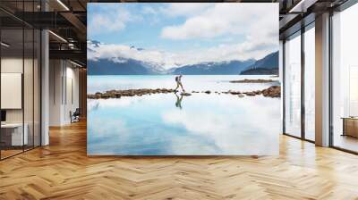 Garibaldi lake Wall mural