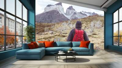 Hike in Patagonia Wall mural