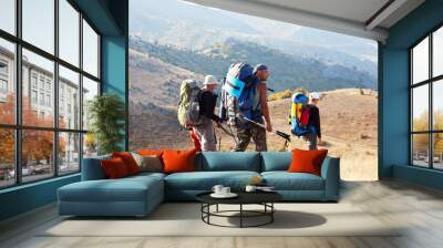 Hiking Wall mural