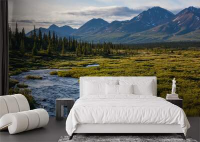 lake on alaska Wall mural