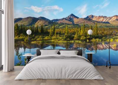 Lake on Alaska Wall mural