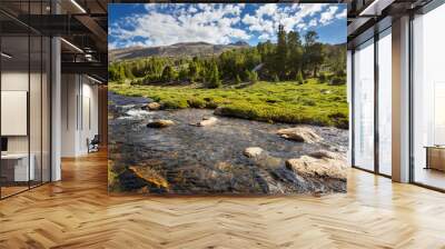 Mountains river Wall mural