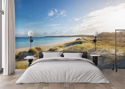 New Zealand coast Wall mural