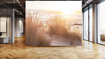 New Zealand coast Wall mural