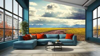 Road in field Wall mural