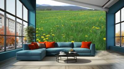 spring grassland Wall mural