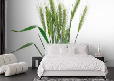 Bunch of green wheat ears. Wall mural