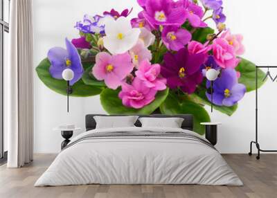 Violets beautiful flowers. Wall mural