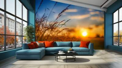 The sky and sunset with the field Wall mural