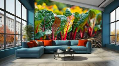 A garden full of vibrant swiss chard plants Wall mural