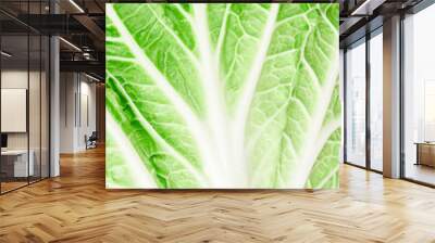 Close up texture fresh chinese cabbage texture. Wall mural