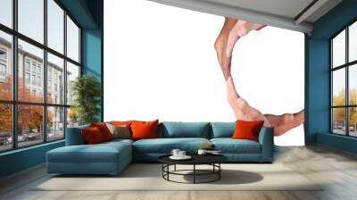 Conceptual symbol of multiracial human hands making a circle on white background with a copy space in the middle. conceptualization, Wall mural