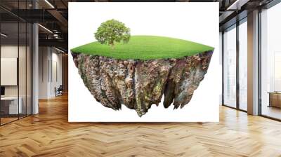 round soil ground cross section with earth land and green grass.  fantasy floating island with natural on the rock, surreal float landscape with paradise concept isolated on white background Wall mural