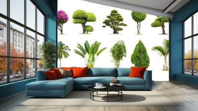 Tako trees bending. Isolated tree on white background , The collection of trees.Tree database Botanical garden organization elements of nature in Thailand, Wall mural