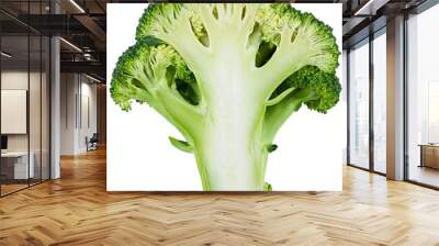 Broccoli isolated on a transparent background. Completely in focus. A slice of the middle. Wall mural