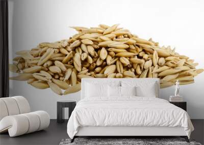 Pile oat grain seeds isolated on a transparent background. Completely in focus. Wall mural