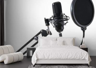 Professional studio microphone for voice recording with pop filter isolated on a transparent background. Wall mural