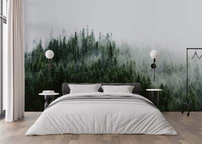 Misty landscape with fir forest. Amazing vintage retro hipster background Wall mural