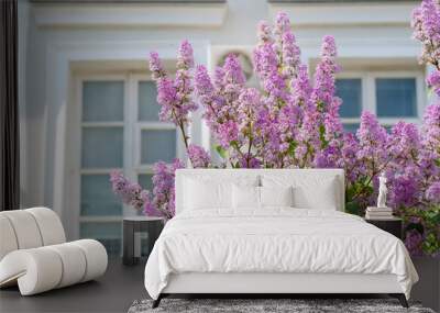 Spring lilac flowers with old wooden window and white cement wall at home Wall mural