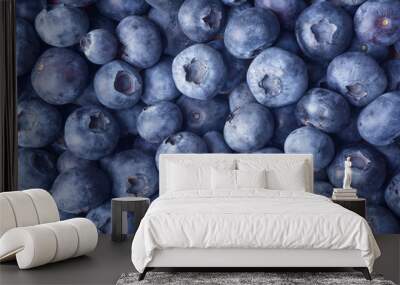 Close up photograph of fresh blueberries. Blueberries are a nutritious, delicious food. Healthy organic eating concept. Anthocyanin gives blueberries  blue colour and health benefits. Background. Wall mural