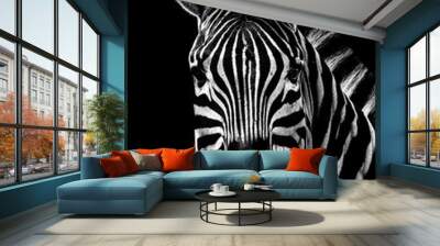 Black and White Zebra Portrait on a black background Wall mural