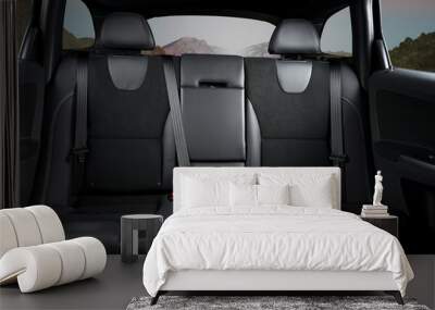 Back passenger seats  Wall mural