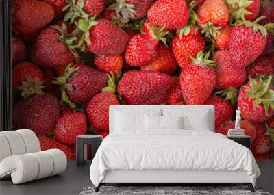 Background of freshly picked red ripe strawberries. Unwashed natural product Wall mural